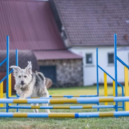 S'bunde Heisle Nyaraló