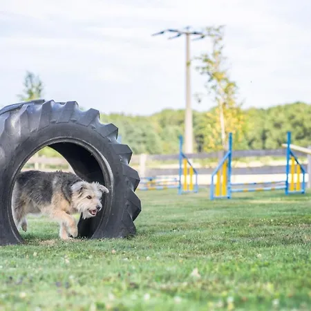 Nyaraló S'bunde Heisle