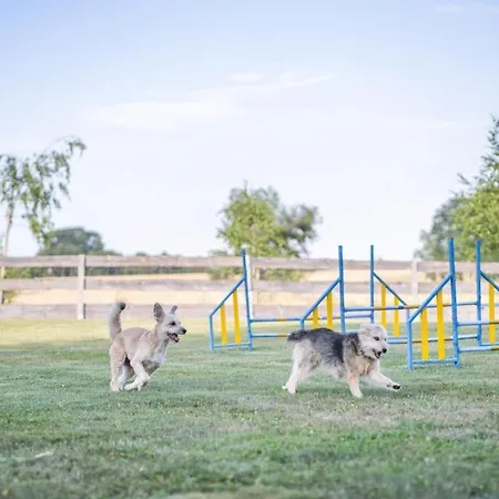 Nyaraló S'bunde Heisle