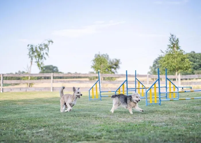 بيت للعطل S'bunde Heisle